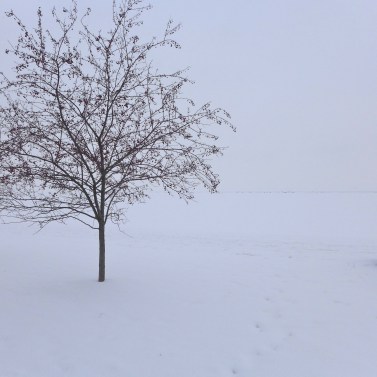 12582773513_2b64f73a00_o