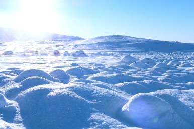 16534328782_a83e25b62c_o